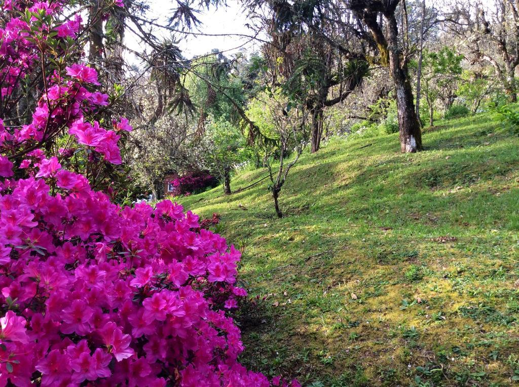 Sitio Nossa Senhora De Loreto Campos do Jordão Kültér fotó